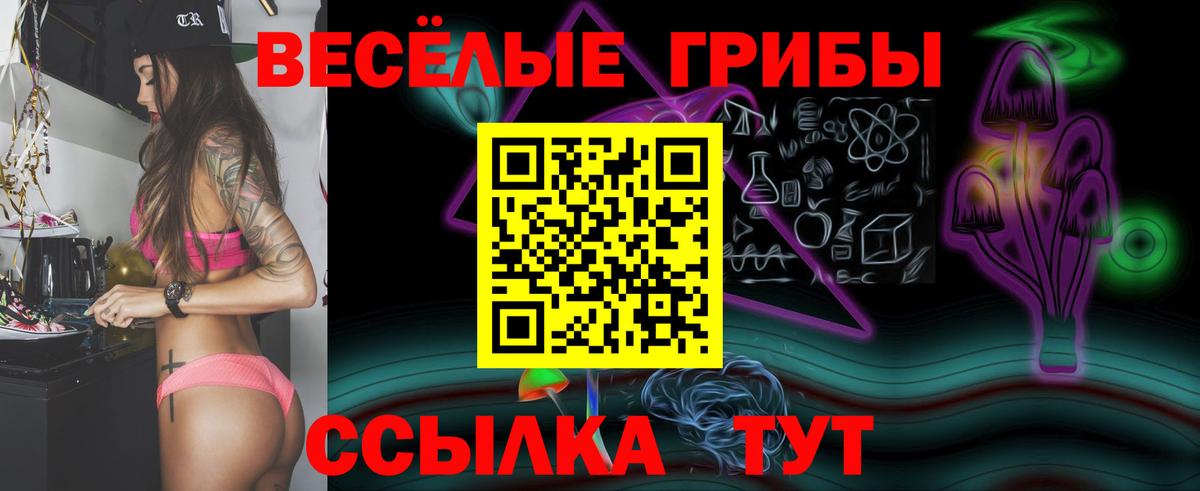 Псилоцибиновые грибы мухоморы  Вход с VPN  Альметьевск  цены   Псилоцибиновые грибы Psilocybe 